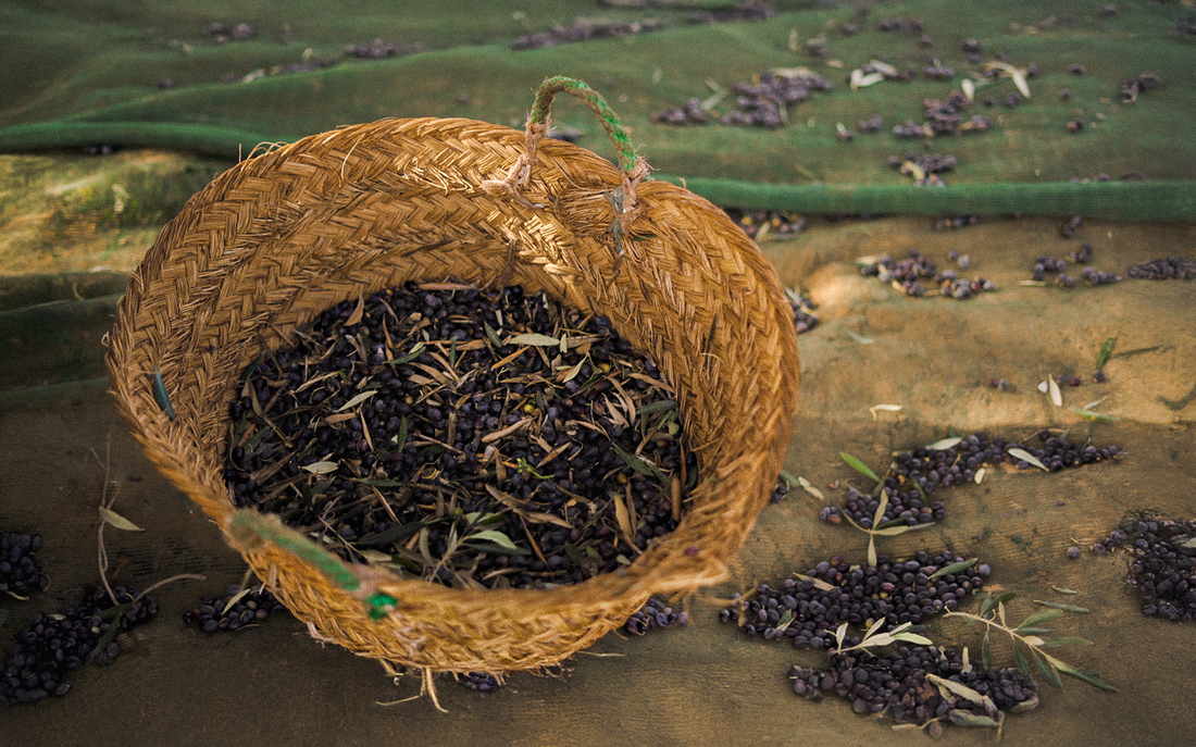 Bread, Olive Oil, and the Table