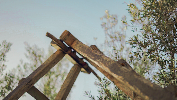 The Shape of the Harvest